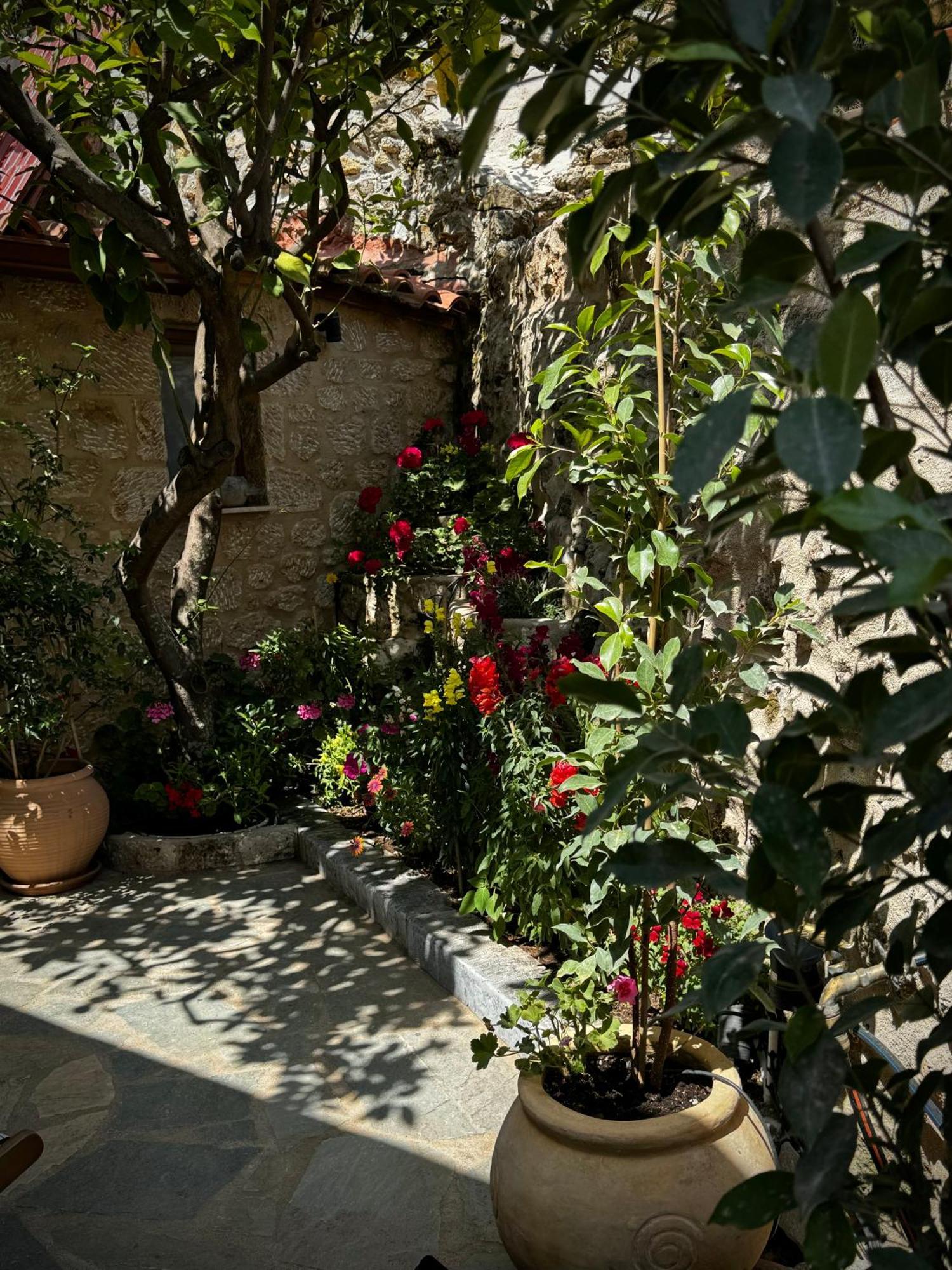 Villa Jasmine Stoúpa Esterno foto